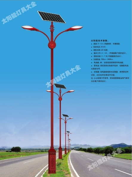 江门市8 米太阳能路灯庭院灯 - 厂家